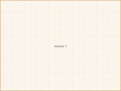 熟女人妻 - 清晨六点的厨房 - 为家人准备元气早餐